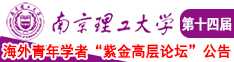 爱爱视频网址南京理工大学第十四届海外青年学者紫金论坛诚邀海内外英才！